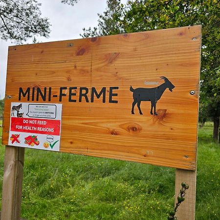 Mobil-Home 6 Personne - Tohapi Coeur De Vendee La Boissiere-de-Montaigu Exteriör bild